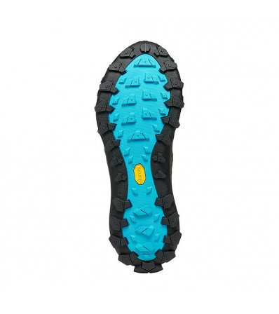 Дамски Обувки Scarpa Rove GTX W's
