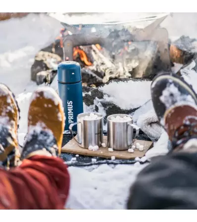 Чаша Primus 4-Season Mug 0.3l