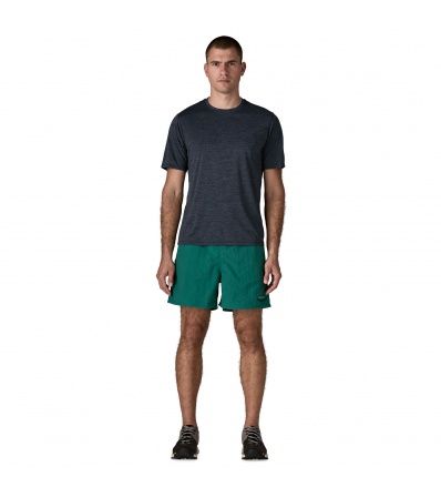 Шорти Patagonia Baggies 5