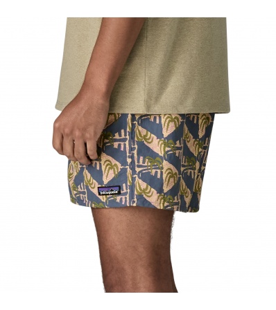 Шорти Patagonia Baggies 5