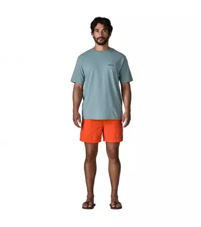 Шорти Patagonia Baggies 5