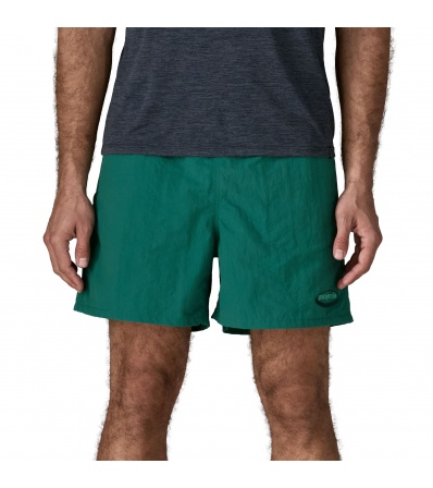 Шорти Patagonia Baggies 5