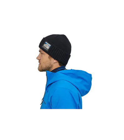 Шапка Patagonia Brodeo Beanie