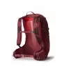 Раница Gregory Maya 25L W's Summer 2025
