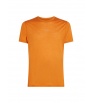 Тениска Icebreaker Men's Merino Blend 125 Cool-Lite Sphere SS Tee