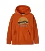 Детски Суитчър Patagonia Kids' Hoody Sweatshirt