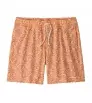 Шорти Patagonia Hydropeak Volley Shorts 16