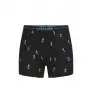 Боксерки Icebreaker Merino 150 Anatomica Boxers Ski Day