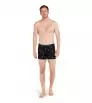 Боксерки Icebreaker Merino 150 Anatomica Boxers Ski Day
