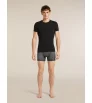 Боксерки Icebreaker Merino 150 Anatomica Boxers Transitions