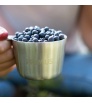 Чаша Primus Kasa Mug Stainless Steel