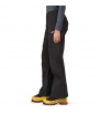 Панталон Patagonia Triolet Pants W's