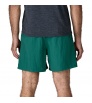 Шорти Patagonia Baggies 5
