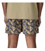 Шорти Patagonia Baggies 5