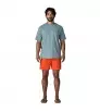 Шорти Patagonia Baggies 5