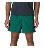 Шорти Patagonia Baggies 5