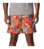 Шорти Patagonia Baggies Longs Shorts 7